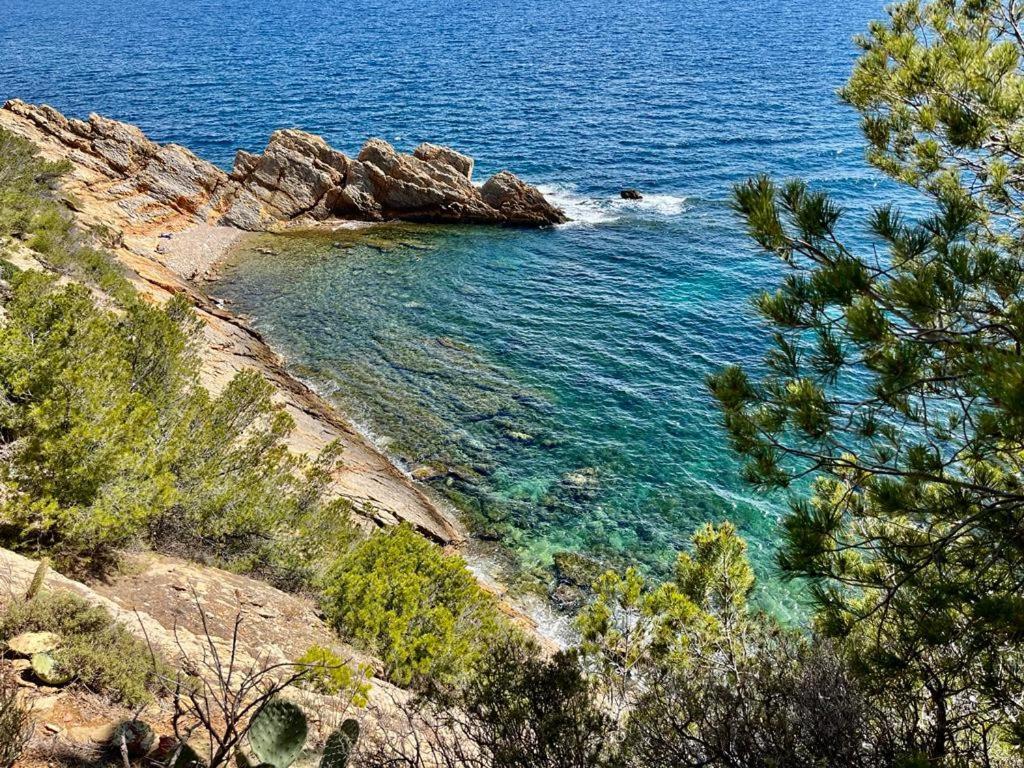 Appartement Au Calme, Calanque Des Figuieres Ensues-la-Redonne Eksteriør bilde